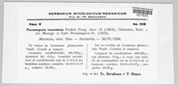 Image Associated With the Occurence